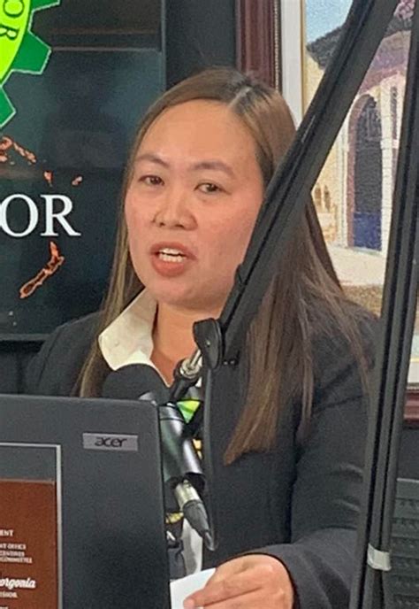 rpts.cebu city.gov.ph log in|City Assessor assures clients: Online portal made easy.
